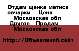 Отдам щенка метиса овчарки. › Цена ­ 100 - Московская обл. Другое » Продам   . Московская обл.